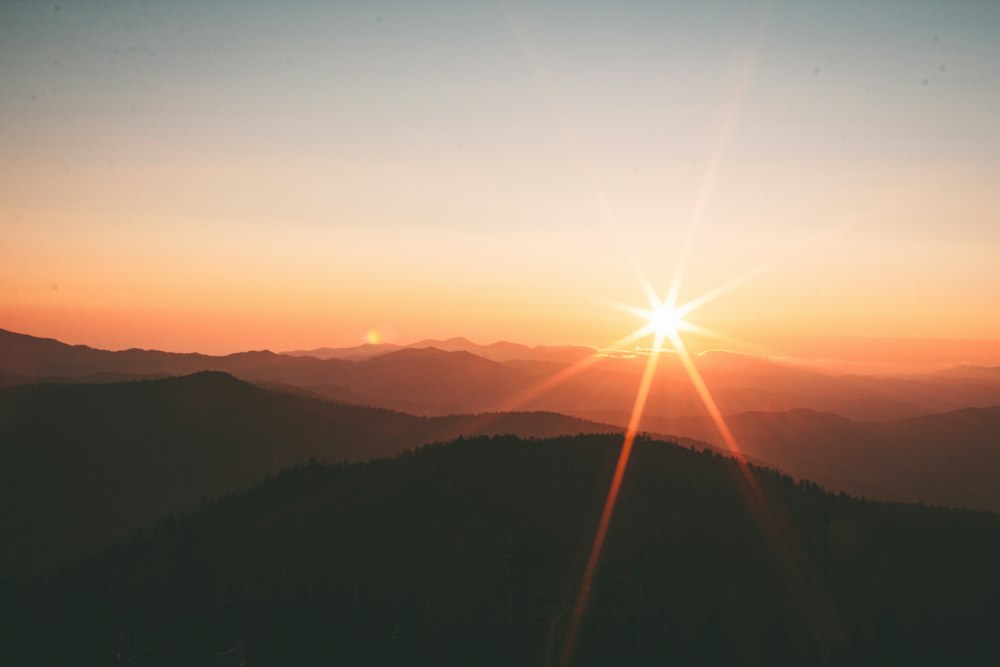 Natureza, técnica e sustentabilidade